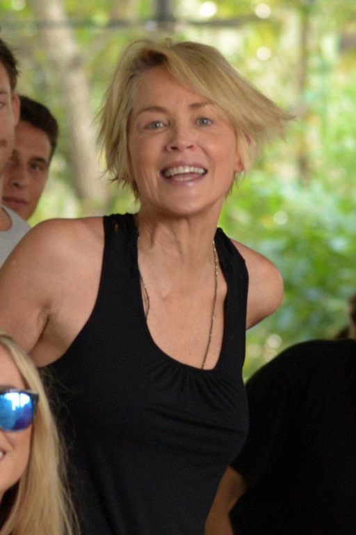 sharon stone amakigiaristi