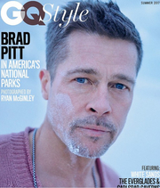 brad pitt 2