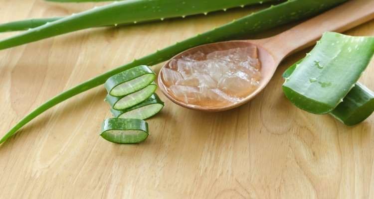 koutalaki-aloe-vera-imera-antistrefei-simadia-giransis-750x400