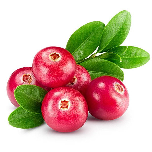 cranberry