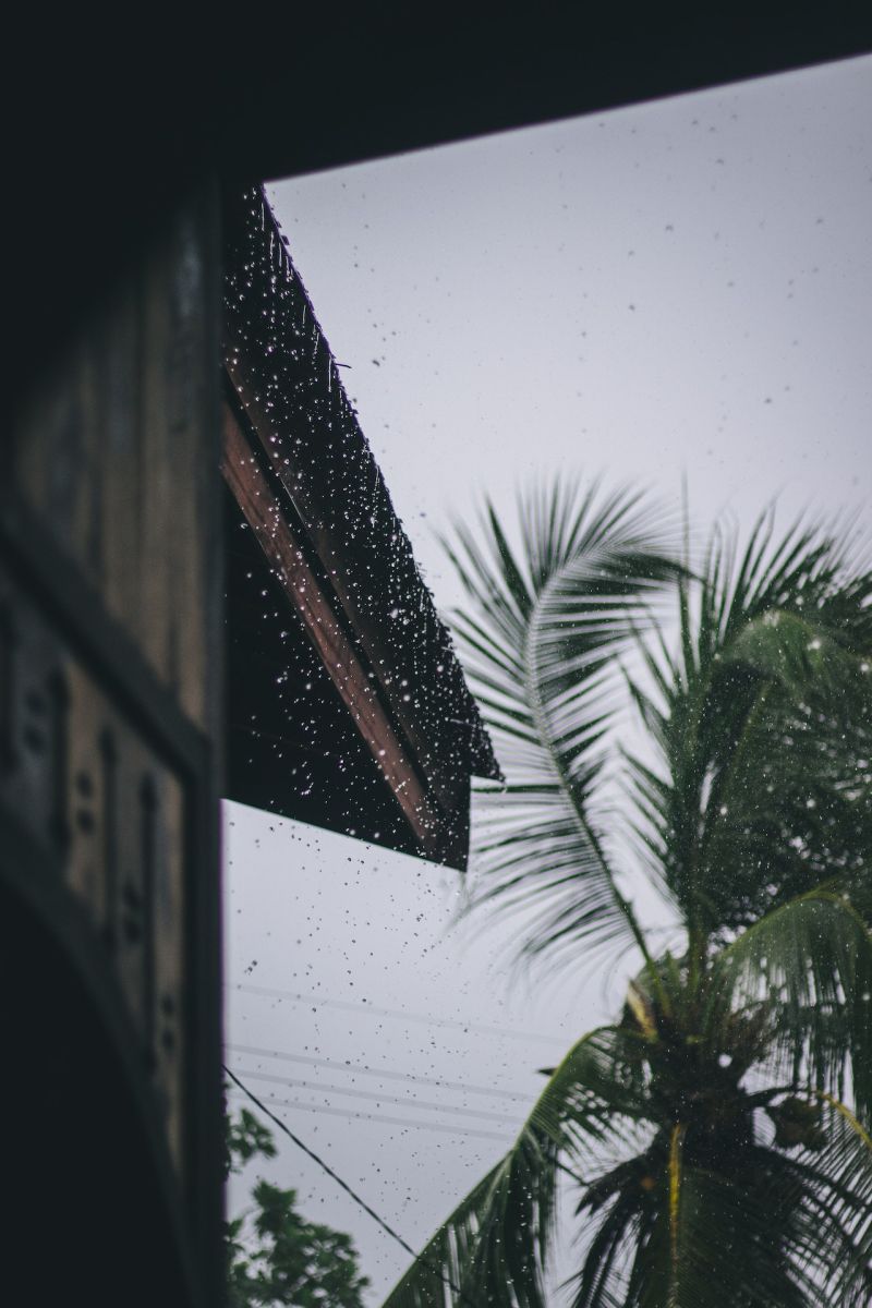 rain